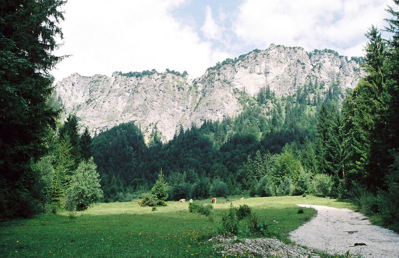 „Der Adlerweg – Wandern in Tirol“, Was haben Ludwig Ganghofers Jagdparadies, das Schloss Ambras und seine Ritterrüstungen, die einzigartige Fauna an den Quellen der Isar, die Kletterer in den Schleierwasserfällen und die Festung Kufstein gemeinsam? Sie liegen auf dem ‚Adlerweg‘ in Tirol. Die Flügel des Adlers im Tiroler Landeswappen gleichen in der Form dieser Wanderroute. Ernst A. Grandits führt entlang des 280 Kilometer langen Wanderwegs vom Tiroler Unterland über das Karwendel und Innsbruck bis hinauf nach St. Anton am Arlberg. Von Almdörfern und Eishöhlen über Alpingärten und Zirbenwälder, von Naturschönheiten zu Kulturzeugnissen führt die Route auch durch die Geschichte Tirols. – Bild: ZDF und ORF